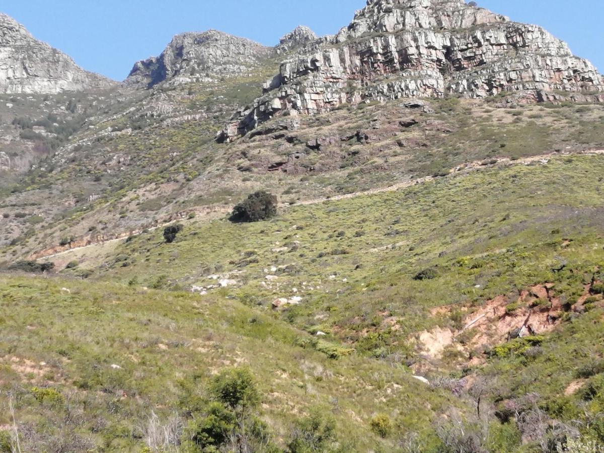 Disa Park 14Th Floor Apartment With City Views Cape Town Eksteriør bilde